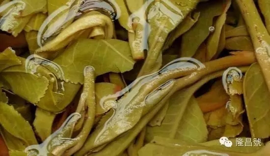 640_wx_fmt=jpeg&tp=webp&wxfrom=5&wx_lazy=1.webp (2).jpg